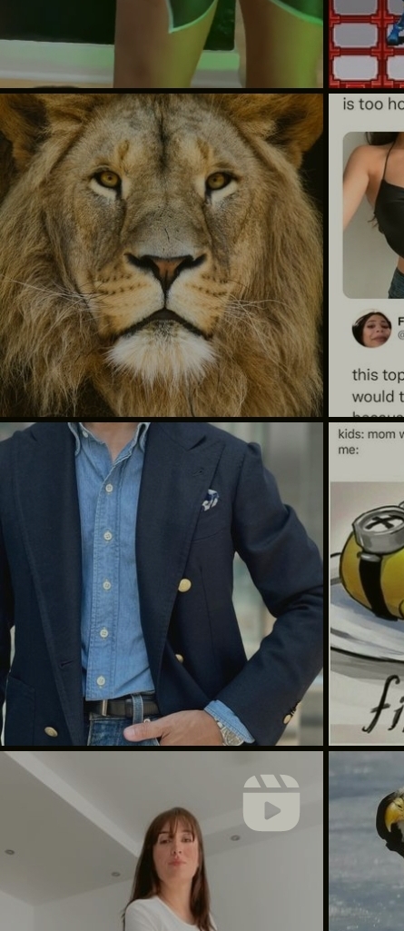 a screenshot from an Instagram explore page, showing two separate images, a torso in a suit, and a lion, that seem to form a combined image looking like a lion in a suit.